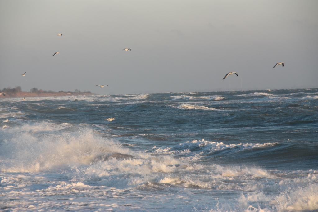 Land & Meer Hasselberg  Экстерьер фото